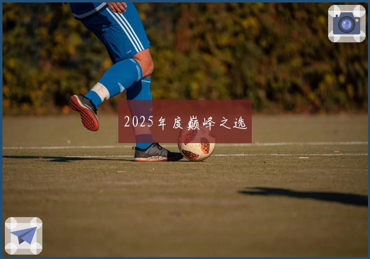 2025年度巅峰之选