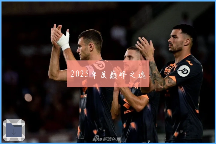 2025年度巅峰之选