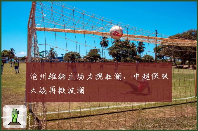 沧州雄狮主场力挽狂澜，中超保级大战再掀波澜