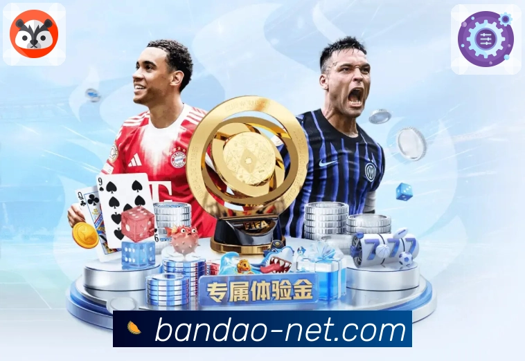 荣誉见证成长之路